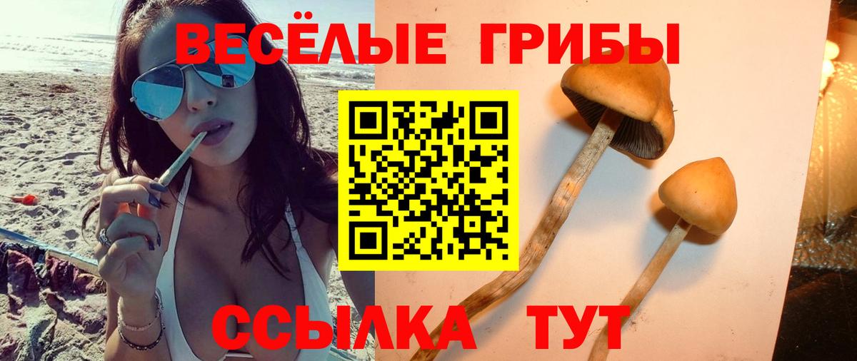 Псилоцибиновые грибы ЛСД Норильск