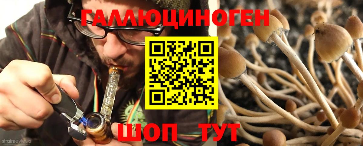 Псилоцибиновые грибы MAGIC MUSHROOMS  Галлюциногенные грибы мицелий  Вход с VPN  Норильск 